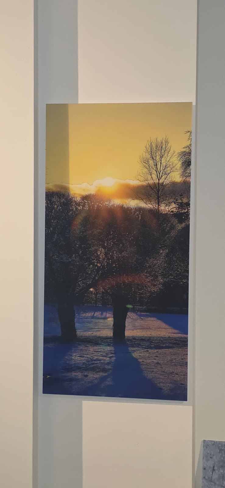 Flight Into the Unknown: Light